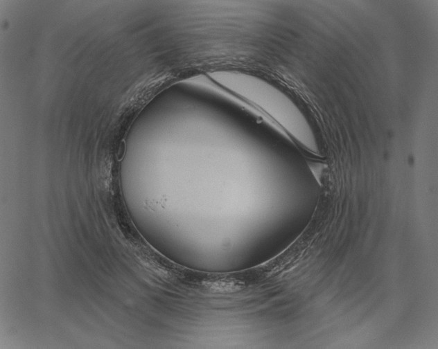 X0000065230693200603101555