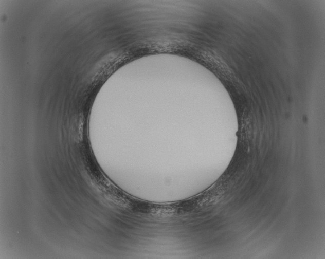 X0000065230694200603101555