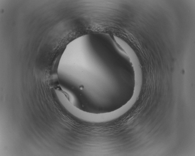 X0000065230697200603101555