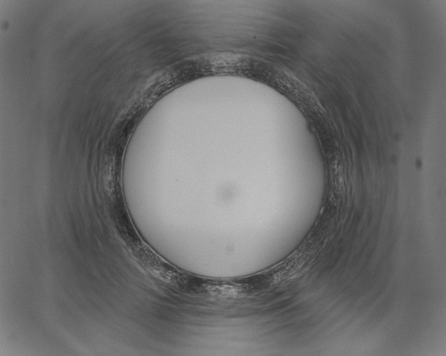 X0000065230698200603101554