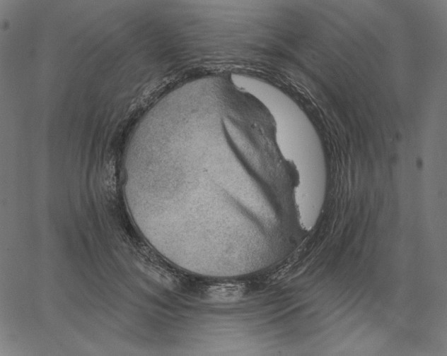 X0000065230700200603101554