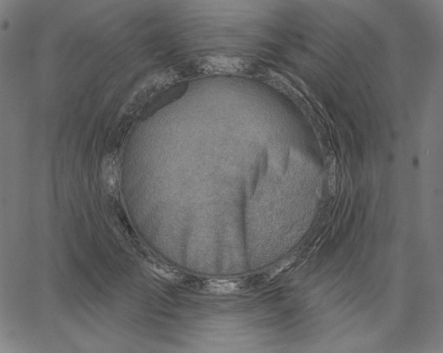X0000065230701200603101554
