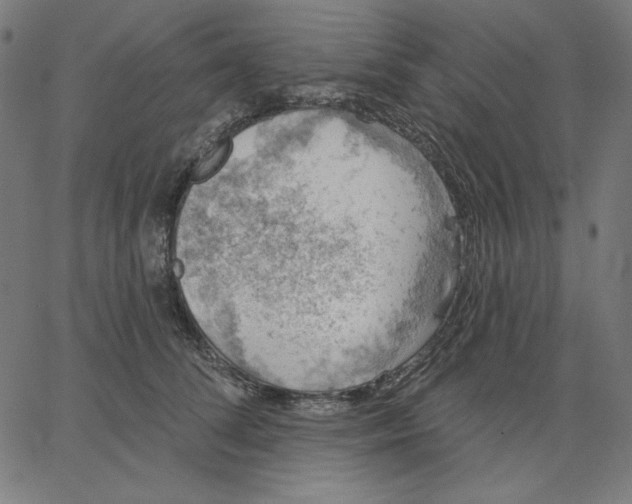 X0000065230708200603101554