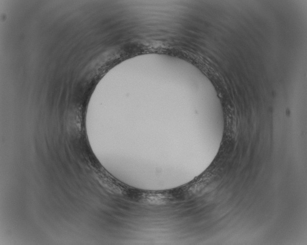 X0000065230710200603101554
