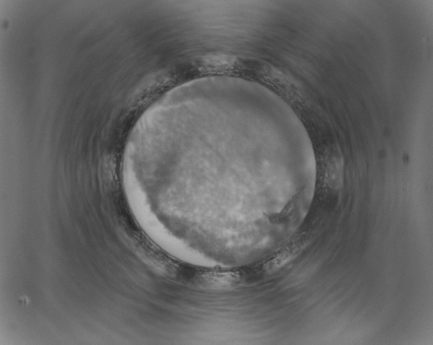 X0000065230711200603101554
