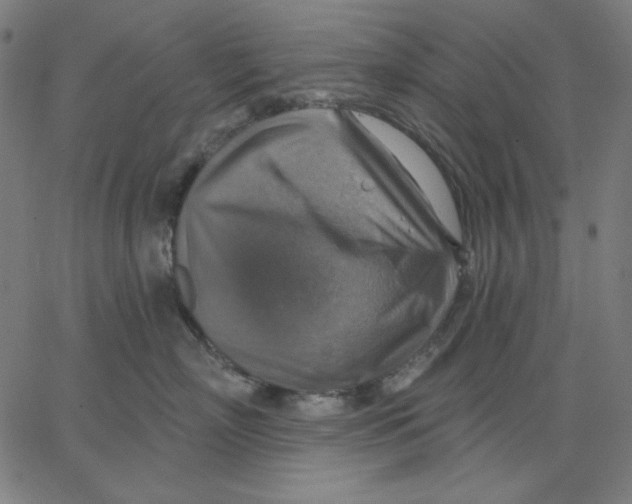 X0000065230718200603101554