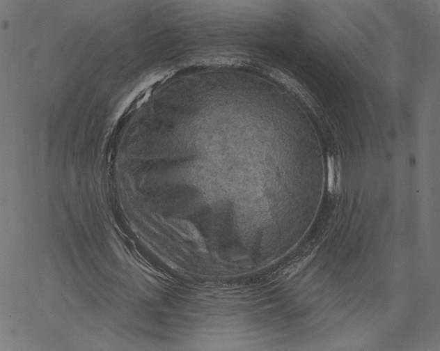 X0000065230723200603101553