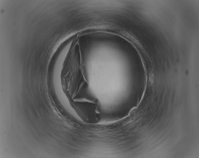 X0000065230724200603101553