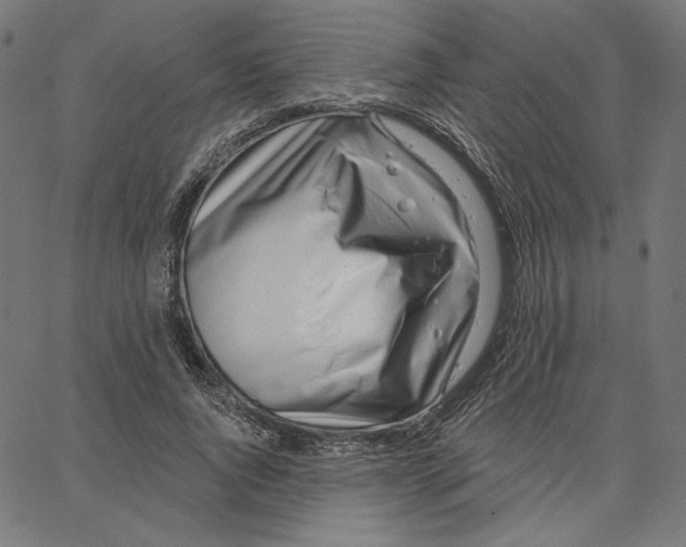 X0000065230736200603101554
