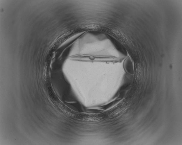 X0000065230739200603101554
