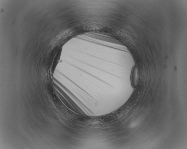 X0000065230743200603101554