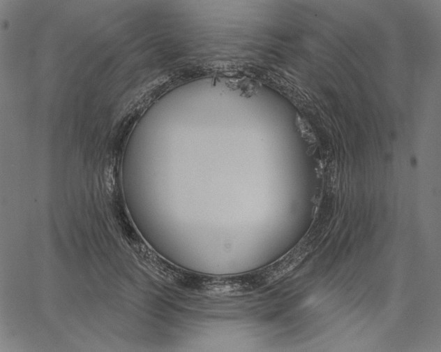 X0000065230746200603101554