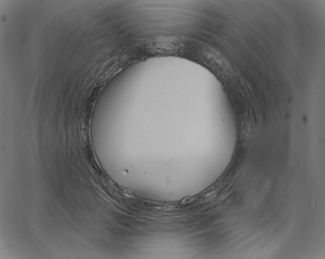 X0000065230749200603101554