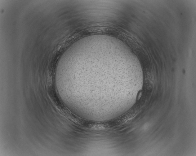 X0000065230751200603101554