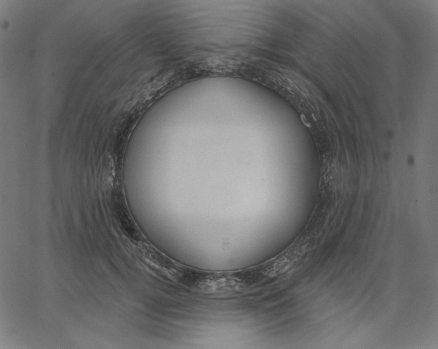 X0000065230752200603101554