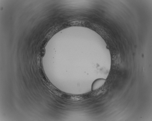 X0000065230753200603101554