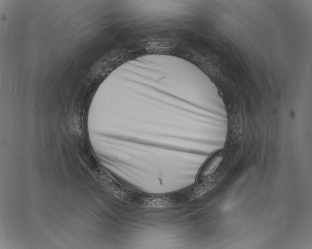 X0000065230755200603101554