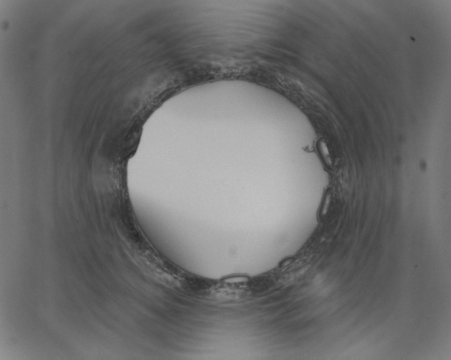 X0000065230756200603101554