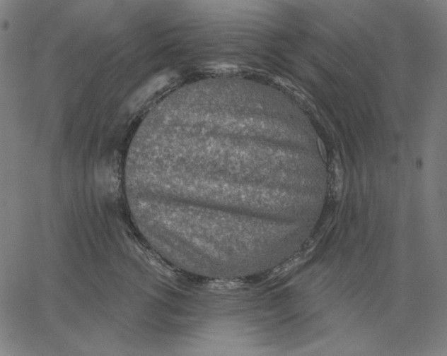 X0000065230762200603101554