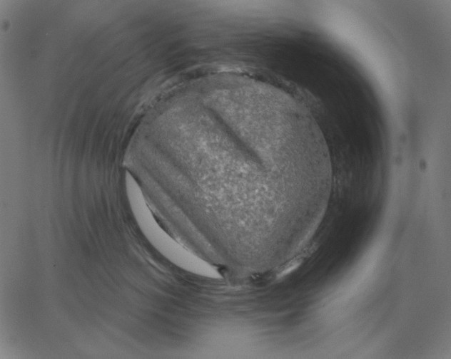 X0000065230766200603101554
