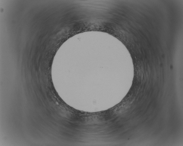 X0000065230769200603101553