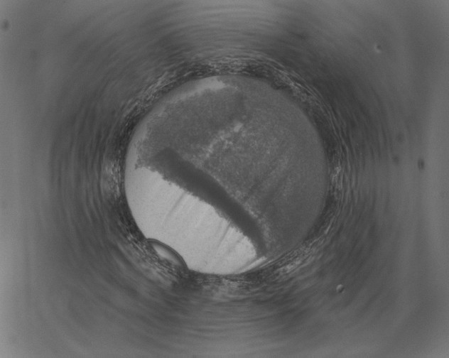 X0000065230772200603101553