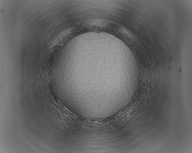 X0000065230774200603101553