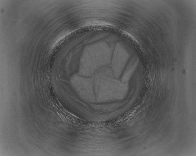 X0000065230775200603101553