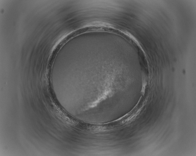 X0000065230783200603101553