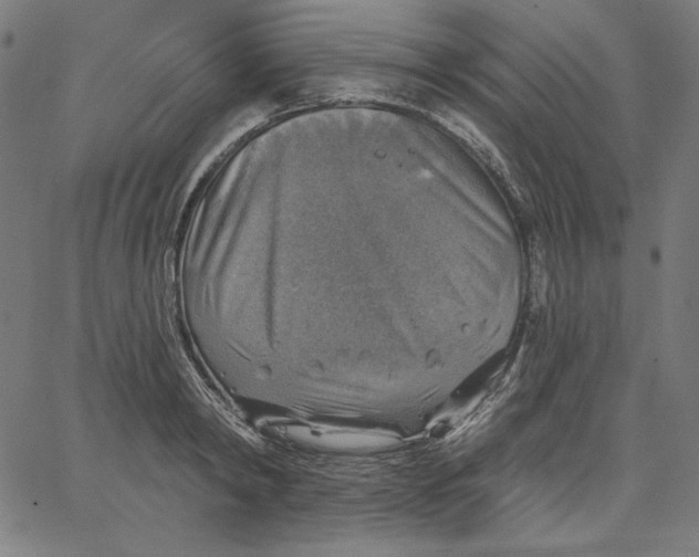 X0000065230798200603101553