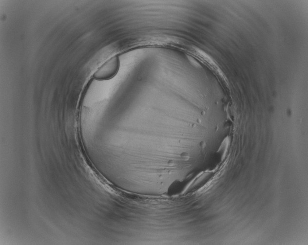 X0000065230802200603101553
