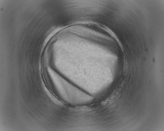 X0000065230811200603101553