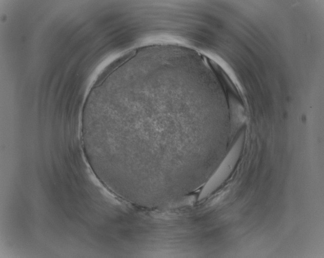 X0000065230815200603101553