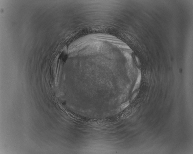 X0000065230817200603101552