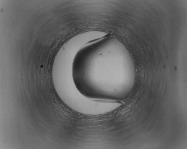 X0000065230818200603101552