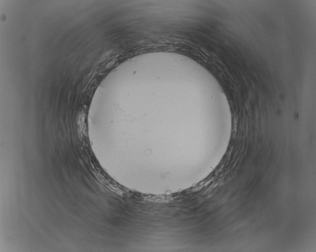 X0000065230820200603101552