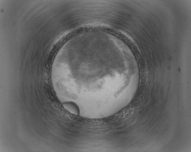 X0000065230823200603101552