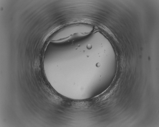 X0000065230826200603101552