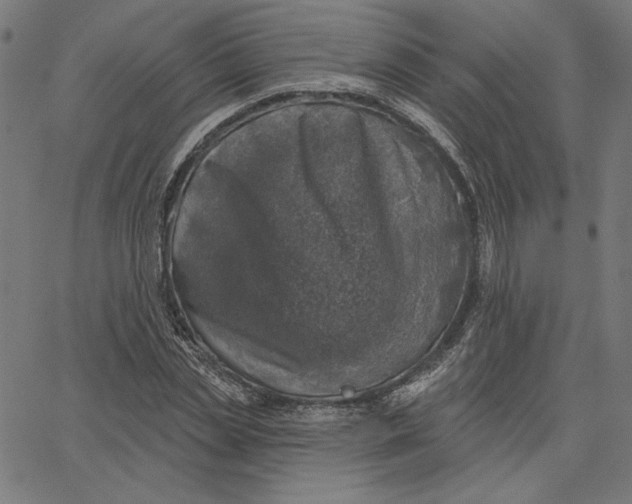 X0000065230829200603101552