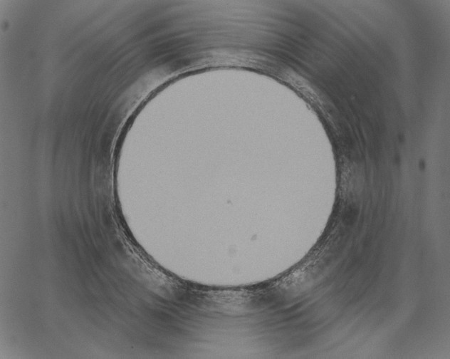 X0000065230836200603101552