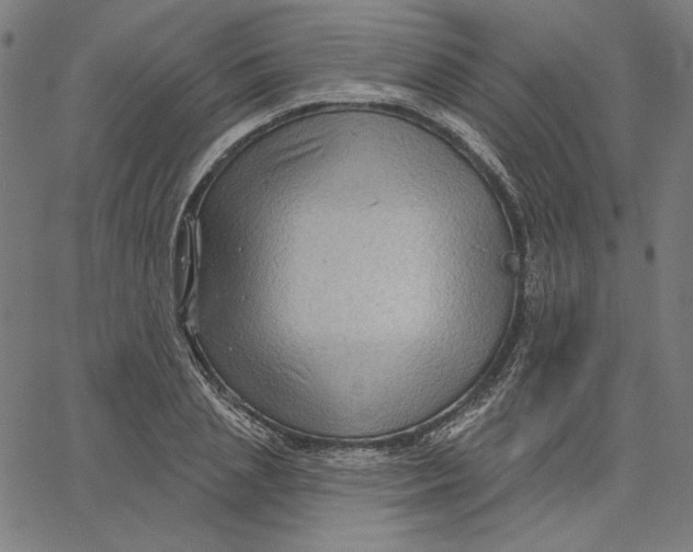 X0000065230837200603101552