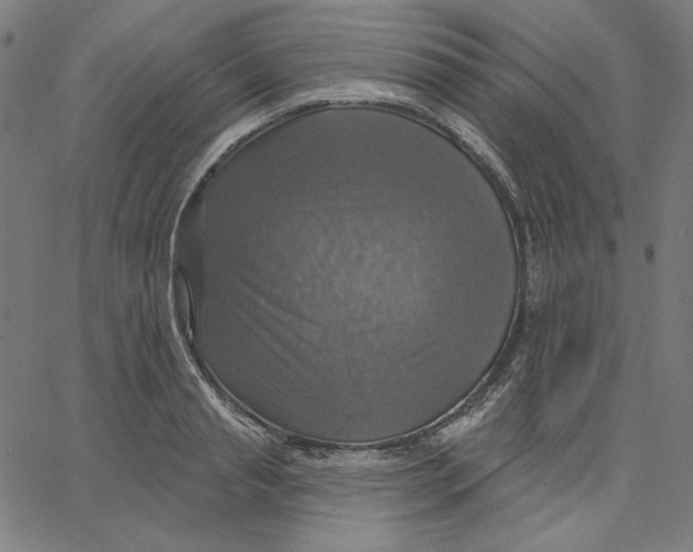 X0000065230845200603101552