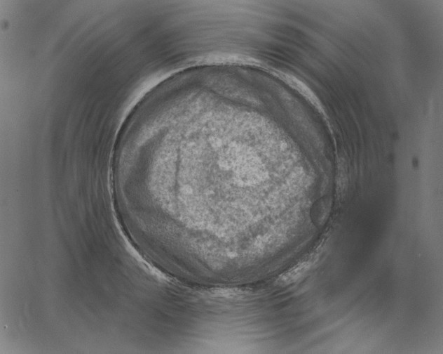 X0000065230847200603101552