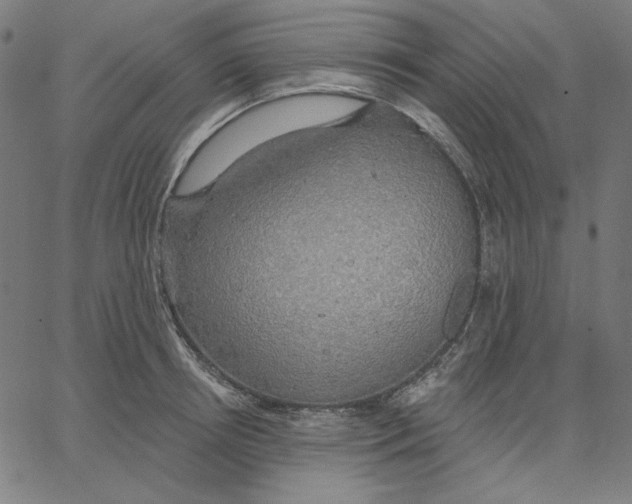X0000065230850200603101552