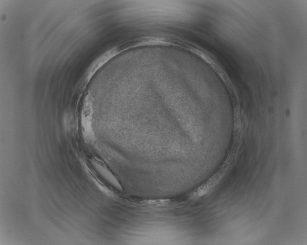 X0000065230858200603101552