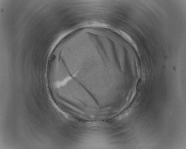 X0000065230863200603101553