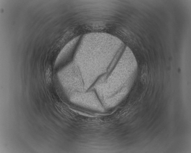 X0000065230866200603101552