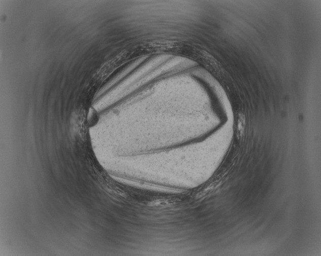 X0000065230867200603101552