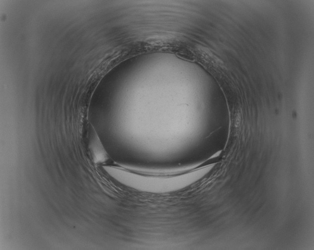 X0000065230868200603101552