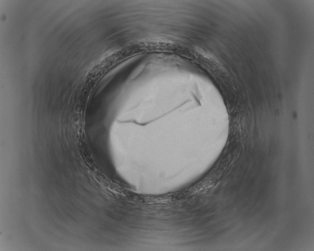 X0000065230870200603101552